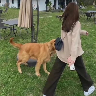 一撇一捺